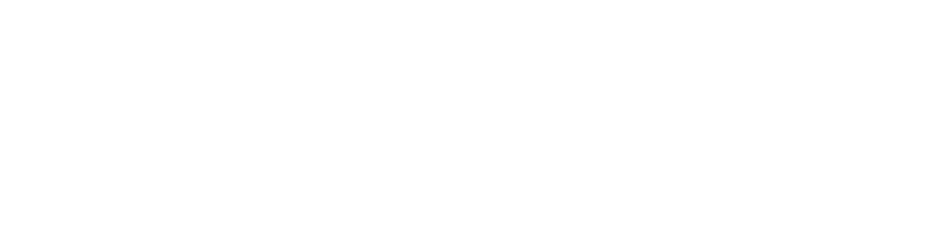 bslogo